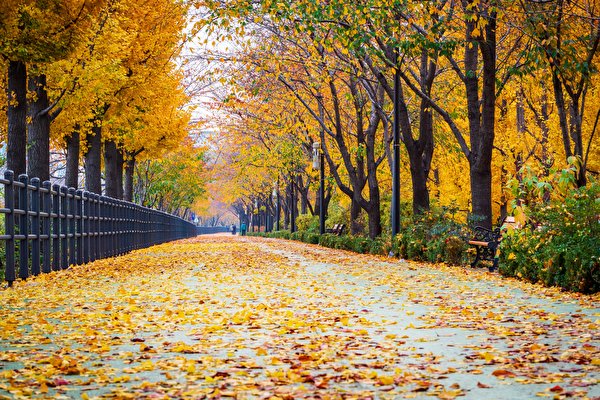 Herbst
