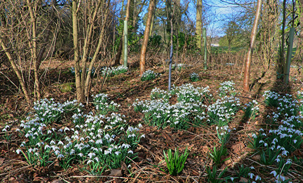 Frühling